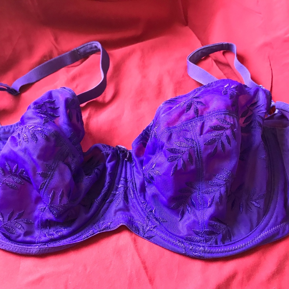 PANACHE TANGO II BALCONETTE BRA 44DD NWOT